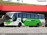 Pássaro Verde 27006 na cidade de João Monlevade, Minas Gerais, Brasil, por Antonio Carlos Fernandes. Número da foto: #:id.