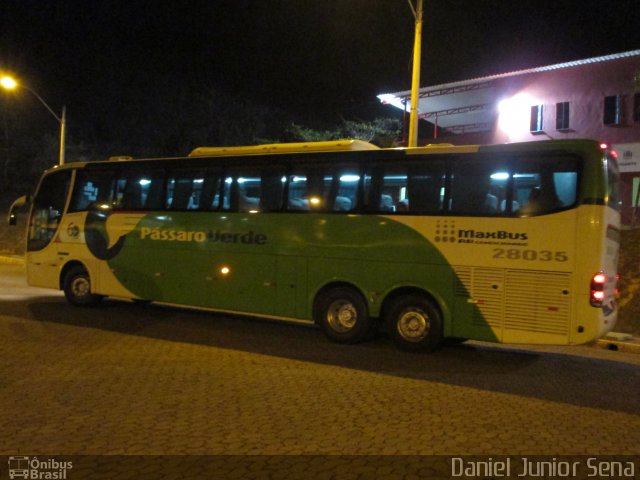 Pássaro Verde 28035 na cidade de Itabirito, Minas Gerais, Brasil, por Daniel Junior Sena. Número da foto: #2873076.