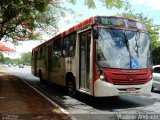 Cootarde 521981 na cidade de Brasília, Distrito Federal, Brasil, por Vladimir Ru. Número da foto: #:id.