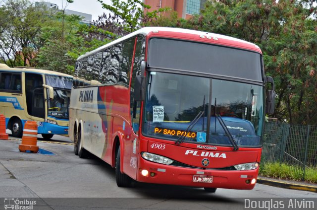 Pluma Conforto e Turismo 4903 na cidade de São Paulo, São Paulo, Brasil, por Douglas Alvim. Número da foto: #2878377.