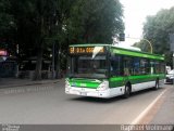 Ônibus da Itália 6350 na cidade de , por Raphael Wollmann. Número da foto: #2877551.