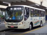 VIPE - Viação Padre Eustáquio 1438 na cidade de São Caetano do Sul, São Paulo, Brasil, por Felipe Gonzales. Número da foto: #2878387.
