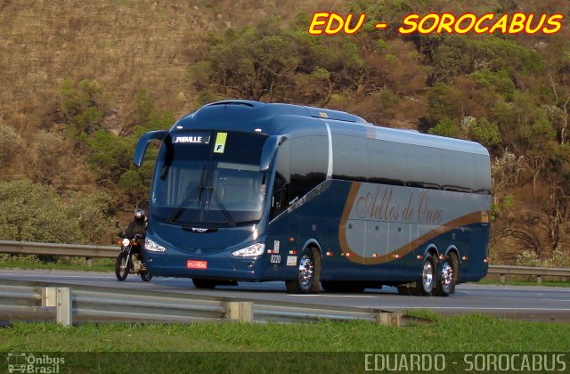 Bia Turismo > Aellos de Ouro 8220 na cidade de Sorocaba, São Paulo, Brasil, por EDUARDO - SOROCABUS. Número da foto: #2821425.