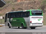 Pássaro Verde 27005 na cidade de Itabirito, Minas Gerais, Brasil, por Daniel Junior Sena. ID da foto: :id.