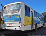 Viação Nossa Senhora Conquistadora 229 na cidade de Pelotas, Rio Grande do Sul, Brasil, por Paulo Ricardo  Rodrigues Villanova. Número da foto: #:id.