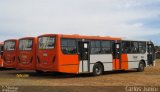 HP Transportes Coletivos 2566 na cidade de Goiânia, Goiás, Brasil, por Carlos Júnior. Número da foto: #2825583.