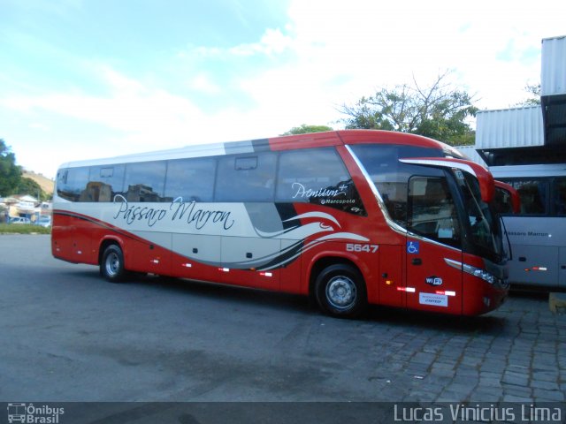 Empresa de Ônibus Pássaro Marron 5647 na cidade de Guaratinguetá, São Paulo, Brasil, por Lucas Vinicius Lima. Número da foto: #2828158.