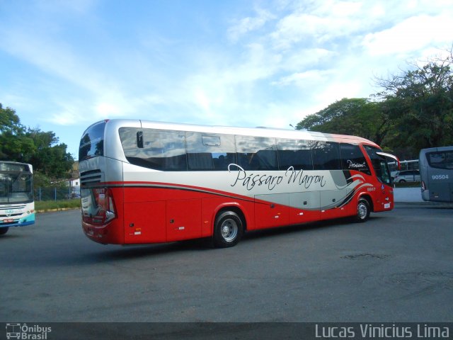 Empresa de Ônibus Pássaro Marron 5647 na cidade de Guaratinguetá, São Paulo, Brasil, por Lucas Vinicius Lima. Número da foto: #2828249.
