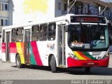 Viação Bom Jesus > VTL - Viação Trans Líder 1316 na cidade de Cubatão, São Paulo, Brasil, por Adam Xavier Rodrigues Lima. Número da foto: #2901072.