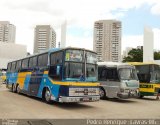 Lady Anna Transportes 8608 na cidade de São Paulo, São Paulo, Brasil, por Pedro Henrique Gumercindo da Silva. Número da foto: #2900509.