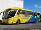 Henritur 4803 na cidade de Aracaju, Sergipe, Brasil, por Sergio Marques . Número da foto: #2905576.