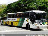 Empresa Gontijo de Transportes 9385 na cidade de Belo Horizonte, Minas Gerais, Brasil, por Vanderlei da Costa Silva Filho. Número da foto: #2907436.