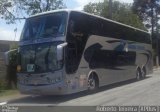 Nambei Turismo 701 na cidade de São Paulo, São Paulo, Brasil, por Roberto Teixeira. Número da foto: #2908947.