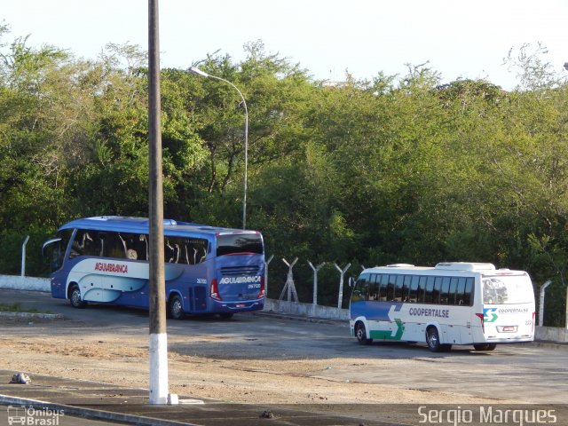 Coopertalse 1092 na cidade de Aracaju, Sergipe, Brasil, por Sergio Marques . Número da foto: #2916067.