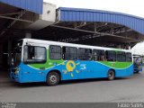 Viação Satélite 25387 na cidade de Vila Velha, Espírito Santo, Brasil, por Fábio Sales. Número da foto: #:id.