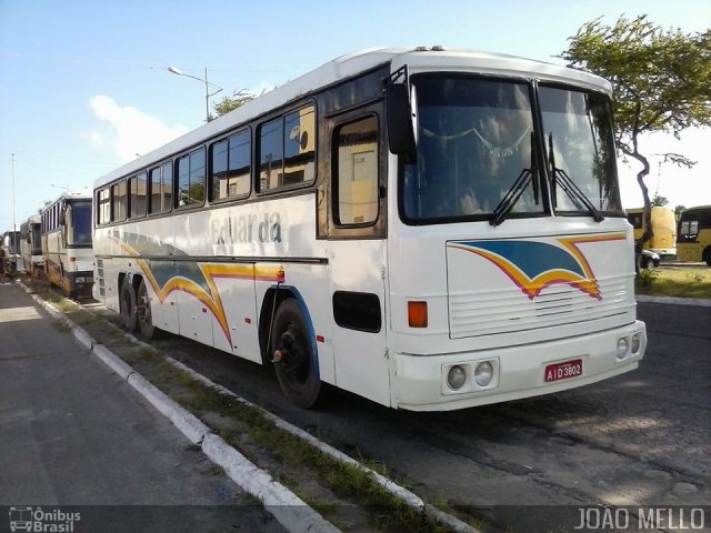 Eduarda Tur 3802 na cidade de Maceió, Alagoas, Brasil, por Matheus  Nascimento. ID da foto: 2919163.