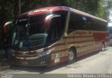 Santa Maria Fretamento e Turismo > Transportes Santa Maria(SP) 560 na cidade de São Paulo, São Paulo, Brasil, por Roberto Teixeira. Número da foto: #2921459.
