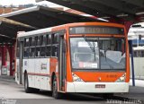 TRANSPPASS - Transporte de Passageiros 8 1805 na cidade de São Paulo, São Paulo, Brasil, por Acacio  da Silva. Número da foto: #:id.