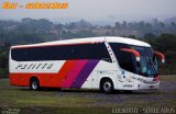 Transportadora Turística Petitto 2700 na cidade de São Paulo, São Paulo, Brasil, por EDUARDO - SOROCABUS. Número da foto: #2882924.