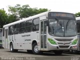 Via Ágil - Transporte Coletivo de Piracicaba 452 na cidade de Piracicaba, São Paulo, Brasil, por Jean Lucas. Número da foto: #:id.