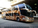 UTIL - União Transporte Interestadual de Luxo 11404 na cidade de Belo Horizonte, Minas Gerais, Brasil, por Patrícia  Rocha. Número da foto: #2924792.