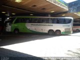 Transbrasiliana Transportes e Turismo 51031 na cidade de Belo Horizonte, Minas Gerais, Brasil, por Luis Philippe Cardoso Coelho. Número da foto: #2924763.
