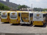 Empresa Gontijo de Transportes 5865 na cidade de Belo Horizonte, Minas Gerais, Brasil, por Thiago  Pacheco. Número da foto: #2926049.