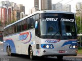 Viação Ferraz Trindade 536308 na cidade de Ribeirão Preto, São Paulo, Brasil, por Fernando Reis. Número da foto: #:id.