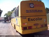 Colégio Platão 2020 na cidade de Apucarana, Paraná, Brasil, por Josino Vieira. Número da foto: #:id.