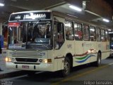VIPE - Viação Padre Eustáquio 9791 na cidade de São Caetano do Sul, São Paulo, Brasil, por Felipe Gonzales. Número da foto: #2928472.