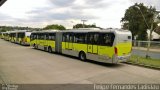 Viação Lux > Viação Fênix 40551 na cidade de Belo Horizonte, Minas Gerais, Brasil, por Felipe Fernandes Ladislau. Número da foto: #2931551.