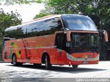 Chilebus Internacional 221 na cidade de São Paulo, São Paulo, Brasil, por Tailisson Fernandes. Número da foto: #2938103.