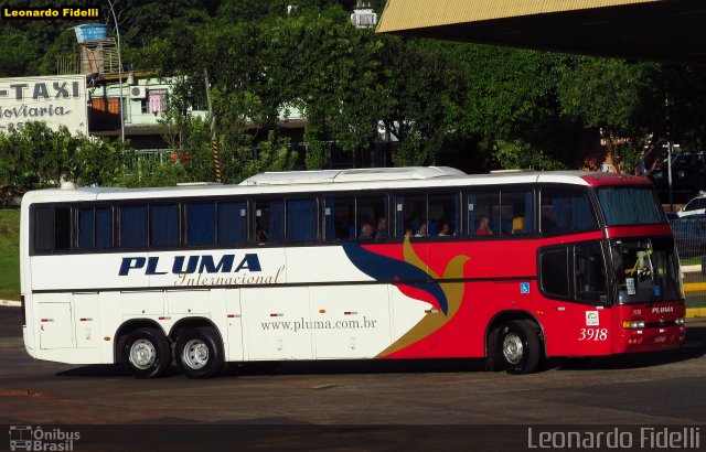Pluma Conforto e Turismo 3918 na cidade de Foz do Iguaçu, Paraná, Brasil, por Leonardo Fidelli. Número da foto: #2939070.
