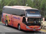 Pullman Bus 523 na cidade de , por Herminio Barros. Número da foto: #2938461.
