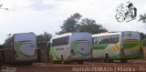 Transbrasiliana Transportes e Turismo 41019 na cidade de Altamira, Pará, Brasil, por Romulo de Oliveira Clementino. Número da foto: #2942499.