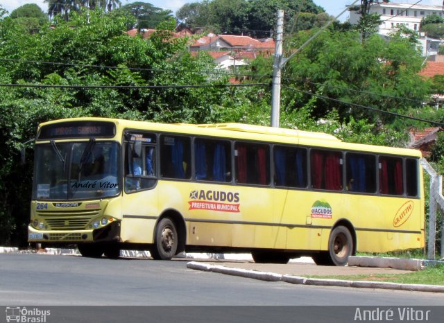Prefeitura Municipal de Agudos  na cidade de Agudos, São Paulo, Brasil, por André Vitor  Silva dos Santos. Número da foto: #2946556.