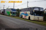 Toptur Transporte e Turismo 6800 na cidade de São Paulo, São Paulo, Brasil, por EDUARDO - SOROCABUS. Número da foto: #2884616.