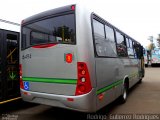 TCCC - Transporte Coletivo Cidade Canção 6494 na cidade de Maringá, Paraná, Brasil, por Rodrigo  Gutierrez Rodrigues. Número da foto: #:id.