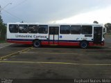 Empresa de Transportes Limousine Carioca RJ 129.001 na cidade de Botucatu, São Paulo, Brasil, por Raphael Nunes Melo. Número da foto: #:id.