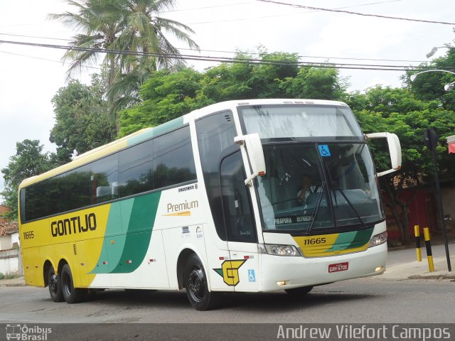 Empresa Gontijo de Transportes 11665 na cidade de Pirapora, Minas Gerais, Brasil, por Andrew Campos. Número da foto: #2949020.