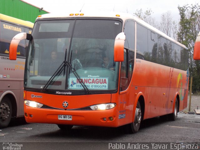 Pullman El Huique 03 na cidade de Santa Cruz, Colchagua, Libertador General Bernardo O'Higgins, Chile, por Pablo Andres Yavar Espinoza. Número da foto: #2947393.