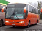 Pullman El Huique 03 na cidade de Santa Cruz, Colchagua, Libertador General Bernardo O'Higgins, Chile, por Pablo Andres Yavar Espinoza. Número da foto: #2947393.