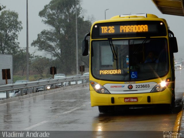 Viação Pioneira 223603 na cidade de Santa Maria, Distrito Federal, Brasil, por Vladimir Ru. Número da foto: #2887484.