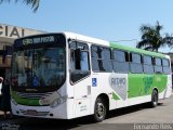 Transcorp 2342 na cidade de Ribeirão Preto, São Paulo, Brasil, por Fernando Reis. Número da foto: #:id.