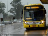Viação Pioneira 223603 na cidade de Santa Maria, Distrito Federal, Brasil, por Vladimir Ru. Número da foto: #2887484.