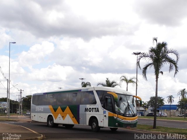 Viação Motta 31643 na cidade de Campo Grande, Mato Grosso do Sul, Brasil, por Isabela de Mattos. Número da foto: #2890126.