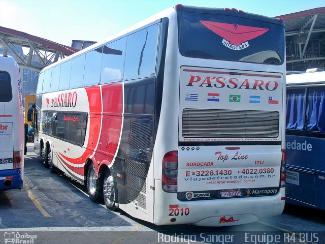 Pássaro Prata Transportadora Turística 2010 na cidade de Aparecida, São Paulo, Brasil, por Rodrigo S. G Busólogo do Brasil. Número da foto: #2889985.