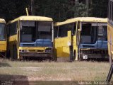 Viação Itapemirim 44001 na cidade de Cachoeiro de Itapemirim, Espírito Santo, Brasil, por Adonias  Fernandes. Número da foto: #2889659.