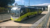 Sagrada Família Ônibus 20557 na cidade de Belo Horizonte, Minas Gerais, Brasil, por Felipe Fernandes Ladislau. Número da foto: #2892166.