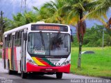 Viação Bom Jesus > VTL - Viação Trans Líder 1313 na cidade de Cubatão, São Paulo, Brasil, por Adam Xavier Rodrigues Lima. Número da foto: #2891401.